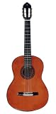 Apprentice Full Size Classical Acoustic Guitar
