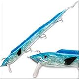 Live Ribbonfish 18