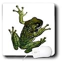 Frogs - Green Frog - Mouse Pads