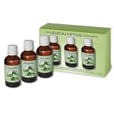 Venta Ecalyptus Fragrance