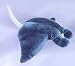 Stuffed Blue Manta Ray 12