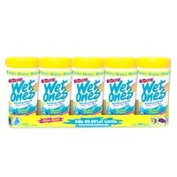 Wet Ones Citrus Scent Antibacterial Hand & Face Wipes, 48 Count Canister 5 Pack (Five Total Canisters)
From Wet Ones
