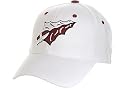 Florida State Seminoles Adult One-Fit Hat