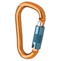 Black Diamond RockLock Twistlock Carabiner