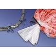 Paper Twist Ties - 5" White 2000/Ctn