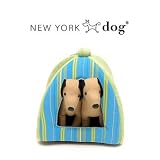 New York Dog(ニューヨークドッグ）　ストライプテント　ブルーｘライム　３１６４－ＢＬ