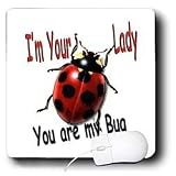 Women Humor - I m your lady you are my Bug - Mouse Pads