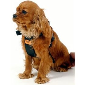 RAC Car Harness Medium
