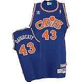 Adidas Cleveland Cavaliers Brad Daugherty Youth (Sizes 8-20) Soul Swingman Road Jersey Small