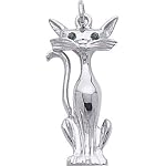rembrandt cat charm