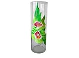 ArtisanStreets Tall Cymbidium Orchid Cylinder Vase. Delicate Orchids Hand Painted on Clear Glass. One of a Kind, Signed by Artisan
