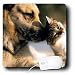 Cats - Cats and Dogs - Mouse Pads