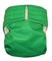 Happy Heiny's Pocket Diaper (Small, kelly green)