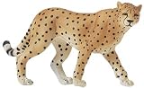 Adult Cheetah, Wild Safari