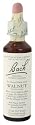 Nelson Bach USA - Walnut, 20 Milliliter