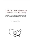 Disillusioned: Justice versus Reality