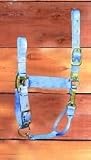 Nylon Adjustable Halter W/snap,Horse, Cattle Care, Aquatic Pet, Horse & Cattle, Pet & Supplies