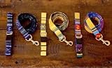 Multi-color Holiday Sun Valley Dog Collar - Large
