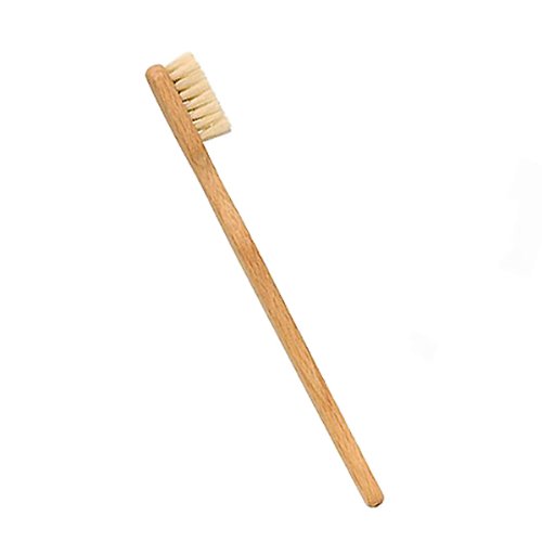 natural toothbrush