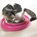 Star Chaser Lighted Cat Toy and Scratcher!