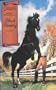Black Beauty (Saddleback Illustrated Classics)