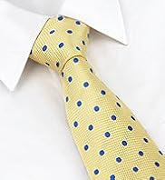 Collezione Sartorial Pure Silk Spotted Tie