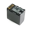 SterlingTek's POWWER JVC GZ-MG255E Camcorder Battery BN-VF823U 3000 mAH