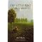 Books that give me butterflies