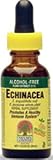 Echinacea Extract No Alcohol - 2 oz. - Liquid