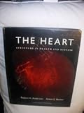 The heart : structure in health and disease