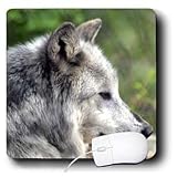WhiteOak Photography Wolves - Wolf - Mouse Pads