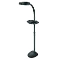 Graphite EasyFlex Deluxe Floor Lamp
