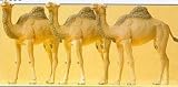 Preiser 20397 Camels