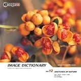 �C���[�W �f�B�N�V���i���[ Vol.12 ���R