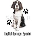 English Springer Spaniel Womens Scoop Neck T-Shirt