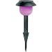 Solar-Powered Color-Changing Path Light