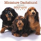 2007大判カレンダー ミニチュア・ダックスフント