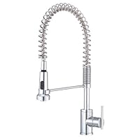 Danze D455158 Parma Single Handle Pre-Rinse Faucet, Chrome