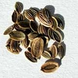 Dill Seed - Whole