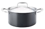 Anolon Titanium Nonstick Dishwasher Safe 6-Quart Covered Stockpot