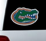 Florida Gators Die-Cut Window Film - Large