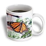 Butterflies - Monarch Butterfly - Mugs