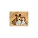 Plush Sheltie M 21