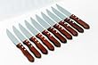 10 Pc Steak Knife Set
