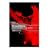 Bryan Adams - Live At The Budokan [DVD] [2000]
