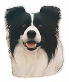 Eigenschaften Trixie  / Aufkl. Border Collie, (K)