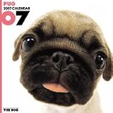 THE DOG パグ 2007年 カレンダー