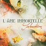 L'&Atilde;�me Immortelle -  Seelensturm Re-release