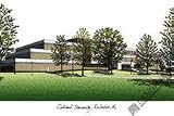Oakland Golden Grizzlies NCAA 14 &acute; x 10 &acute; Limited Edition Lithograph ( Unframed ) - B0001LSW3K