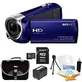Sony HDRCX240